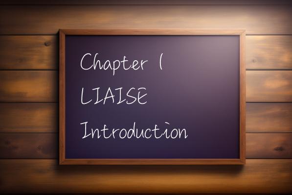 LIAISE Introduction